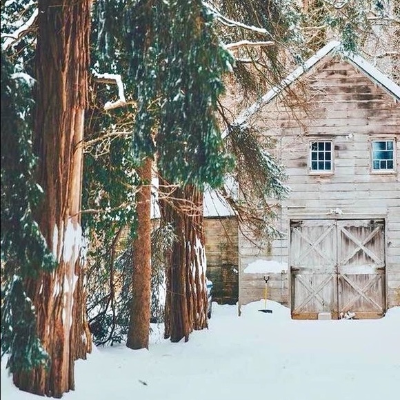 Meet your Posher, Elizabeth - Picture 5 of 5